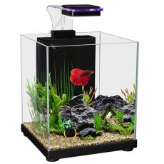 AQUA ONE Betta Sanctuary Glass Aquarium 10L 22.5 x 22.5 x 26cm Black