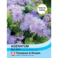 Ageratum Blue Mink