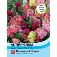 Antirrhinum Double Madam Butterfly Mixed