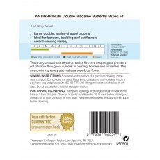 Antirrhinum Double Madam Butterfly Mixed