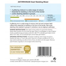 Antirrhinum Dwarf Bedding Mixed