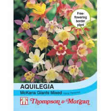 Aquilegia McKana Giant Hybrids Mixed