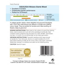 Aquilegia McKana Giant Hybrids Mixed