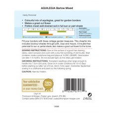 Aquilegia Barlow Mixed