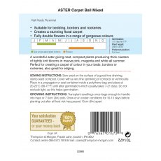 Aster Carpet Ball Mixed