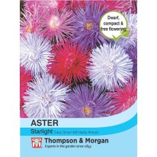 Aster Starlight Mixed