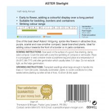 Aster Starlight Mixed