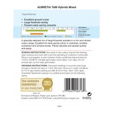 Aubrieta T&M Hybrids Mixed