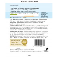Begonia semperflorens Options Mixed