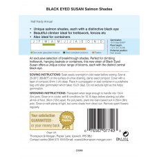 Black Eyed Susan Salmon Shades