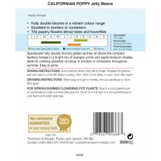 Californian Poppy Jelly Beans