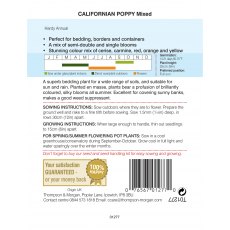 Californian Poppy Mixed