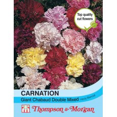 Carnation Giant Chabaud Double Mixed