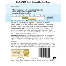 Carnation Giant Chabaud Double Mixed