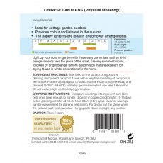 Chinese Lanterns (Physalis gigantea)