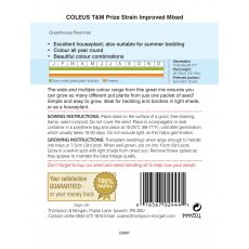 Coleus T&M Prize Strain Improved