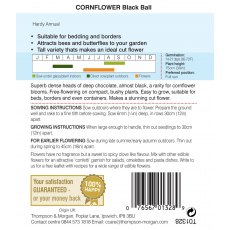 Cornflower Black Ball