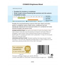 Cosmos Brightness Mixed