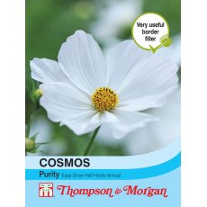 Cosmos Purity