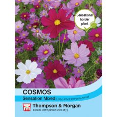 Cosmos Sensation Mixed