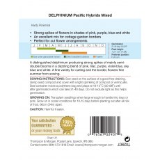 Delphinium Pacific Hybrids Mixed
