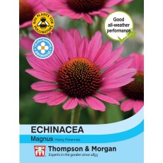 Echinacea purpurea magnus