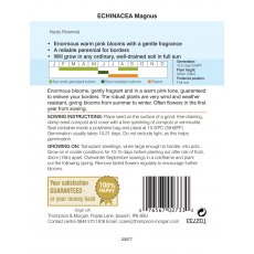 Echinacea purpurea magnus