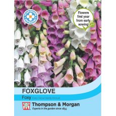 Foxglove Foxy
