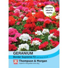 Geranium Border Supreme F2 Hybrid