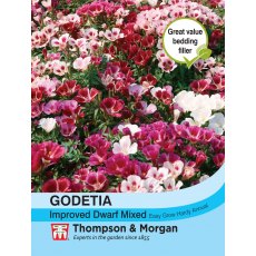 Godetia Improved Dwarf Mixed