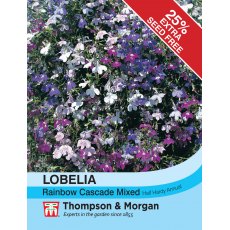 Lobelia (Trailing) Rainbow Cascade Mixed