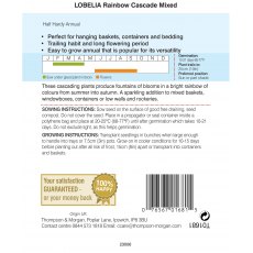 Lobelia (Trailing) Rainbow Cascade Mixed