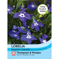 Lobelia (Trailing) Sapphire Cascade