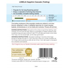 Lobelia (Trailing) Sapphire Cascade