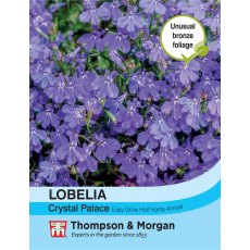Lobelia Crystal Palace