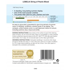 Lobelia String of Pearls Mixed