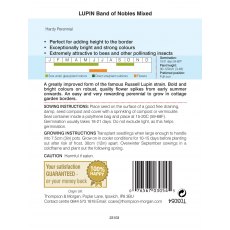 Lupin Band of Nobles Mixed