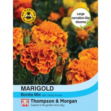 Marigold Bonita Mixed (French)