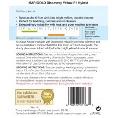 Marigold Discovery Yellow F1 Hybrid (African)