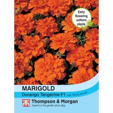 Marigold Durango Tangerine F1 Hybrid