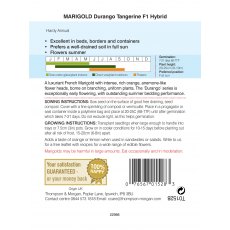 Marigold Durango Tangerine F1 Hybrid