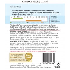 Marigold Naughty Marietta (French)
