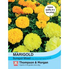 Marigold Sunspot Mixed