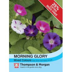 Morning Glory Mixed Colours
