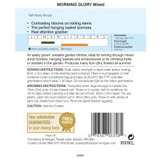 Morning Glory Mixed Colours