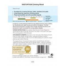 Nasturtium Climbing Mixed