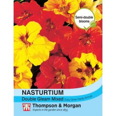 Nasturtium Double Gleam Mixed