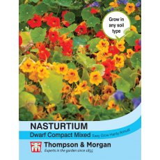 Nasturtium Dwarf Compact Mixed