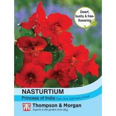 Nasturtium Princess of India