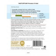 Nasturtium Princess of India